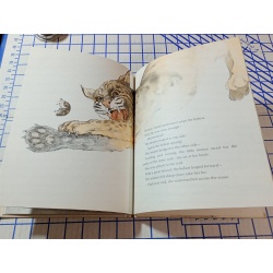 Bear Mouse by Berniece Freschet (Hardcover)