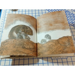 Bear Mouse by Berniece Freschet (Hardcover)