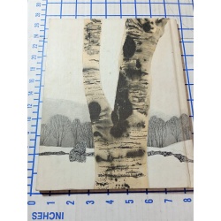 Bear Mouse by Berniece Freschet (Hardcover)