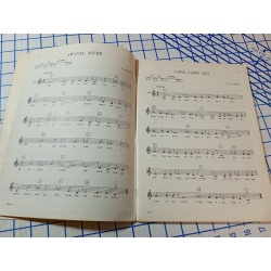 STARTING OUT WITH THE EXTRAVOICE ORGAN