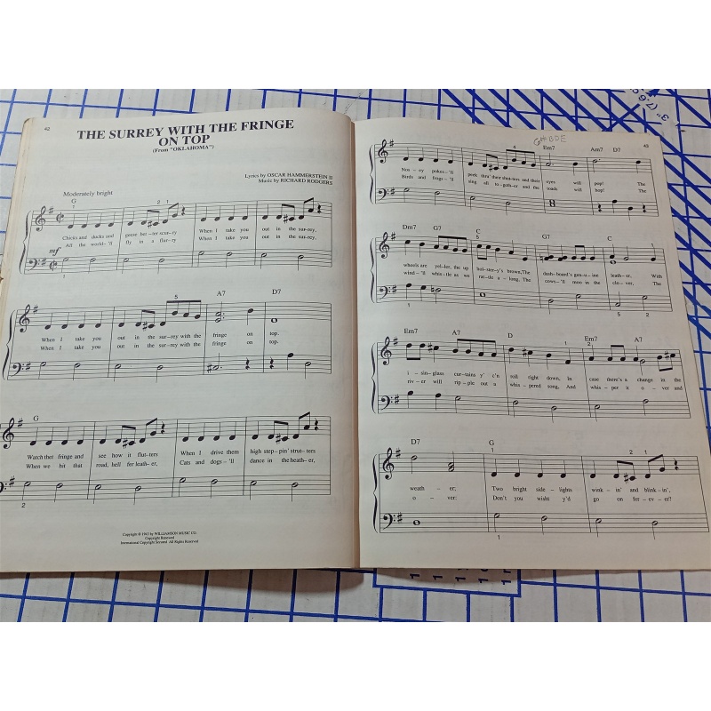 RODGERS & HAMMERSTEIN FAVORITES (BIG NOTE PIANO) 