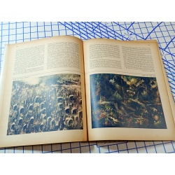 1943 OCTOBER FORTUNE MAGAZINE - GREAT COVER & ADS