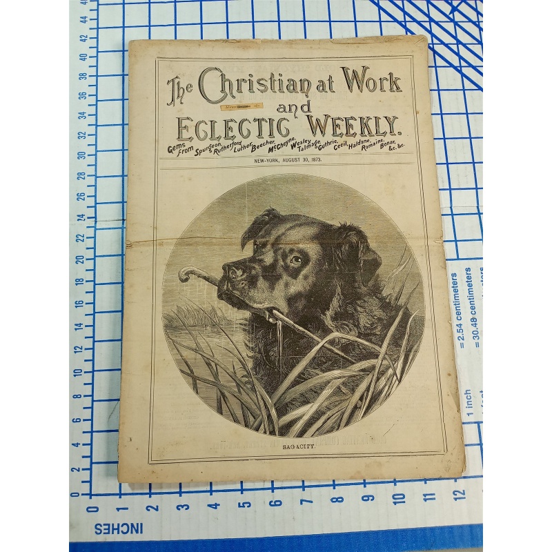 The Christians at Work Weekly vol. 7 no. 35 New York august 30, 1873