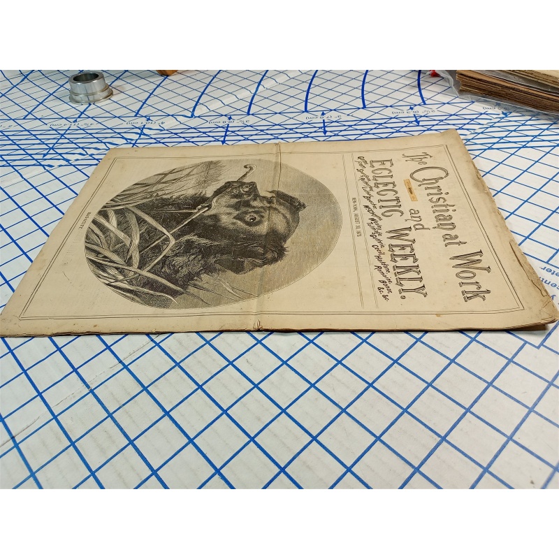 The Christians at Work Weekly vol. 7 no. 35 New York august 30, 1873