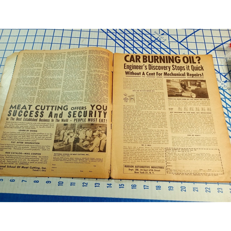 OFFICIAL DETECTIVE STORIES FEBUARY 1954