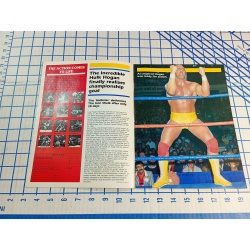 WORLD WRESTLING FEDERATION HULKMANIA 109