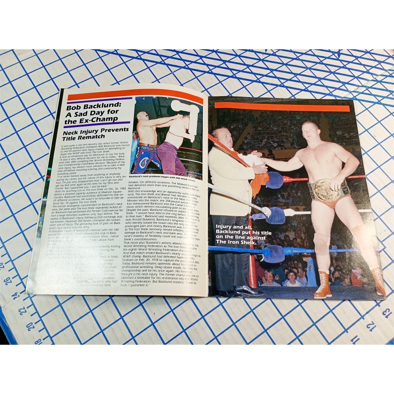 WORLD WRESTLING FEDERATION HULKMANIA 109