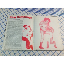 WORLD WRESTLING FEDERATION HULKMANIA 109