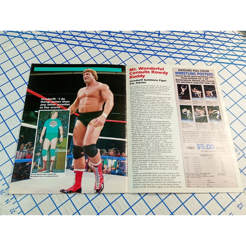 WORLD WRESTLING FEDERATION HULKMANIA 109