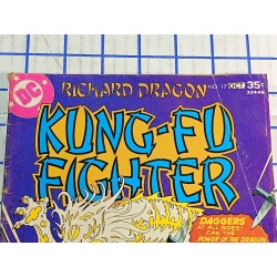 Richard Dragon, Kung-Fu Fighter #17 DC COMICS