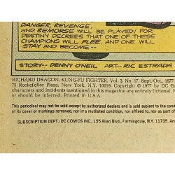 Richard Dragon, Kung-Fu Fighter #17 DC COMICS