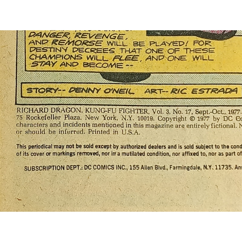 Richard Dragon, Kung-Fu Fighter #17 DC COMICS