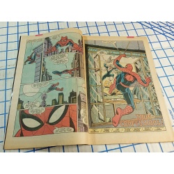 Marvel Comics Group: Peter Parker, The Spectacular Spider-Man #98