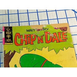 Chip n Dale #59 Vol. 2 1979 Gold Key 