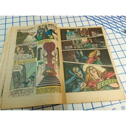 MONSTER HUNTERS # 7 CHARLTON COMIC 1976 