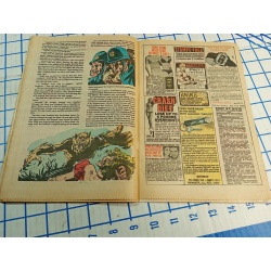 MONSTER HUNTERS # 7 CHARLTON COMIC 1976 