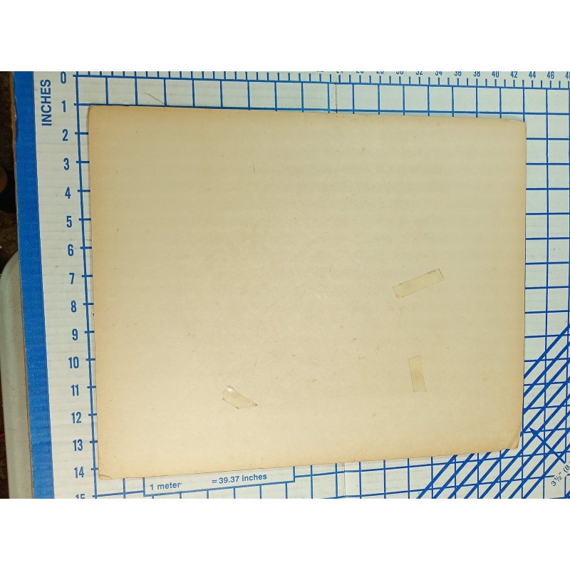 TO THE HONOURABLE RIP VAN DAM MAGAZINE ENGRAVING 1900 BY APPLETON AND COMPANY