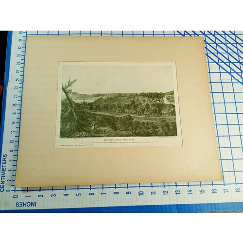 MANHATTANVILLE , NEW YORK ENGRAVING 1900