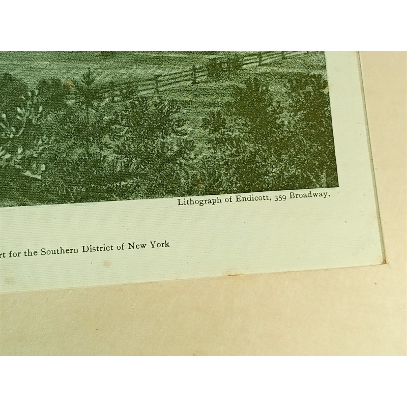 MANHATTANVILLE , NEW YORK ENGRAVING 1900