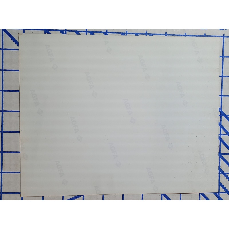 Greg Lloyd #95 BLACK JSY 8X10 PITTSBURGH STEELERS FOOTBALL SPORTS PHOTO