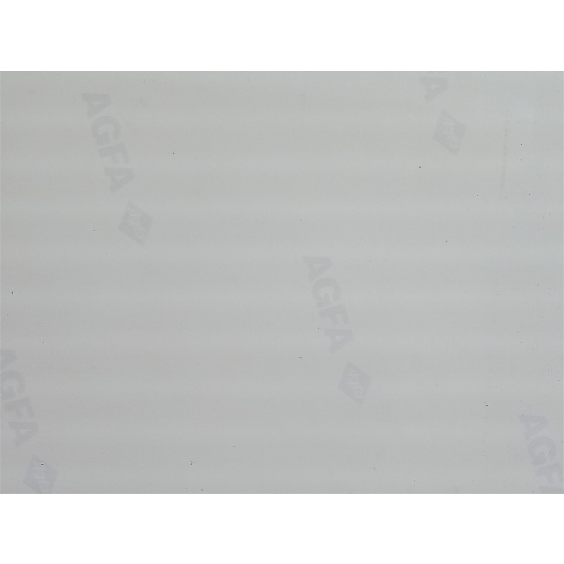 Greg Lloyd #95 BLACK JSY 8X10 PITTSBURGH STEELERS FOOTBALL SPORTS PHOTO