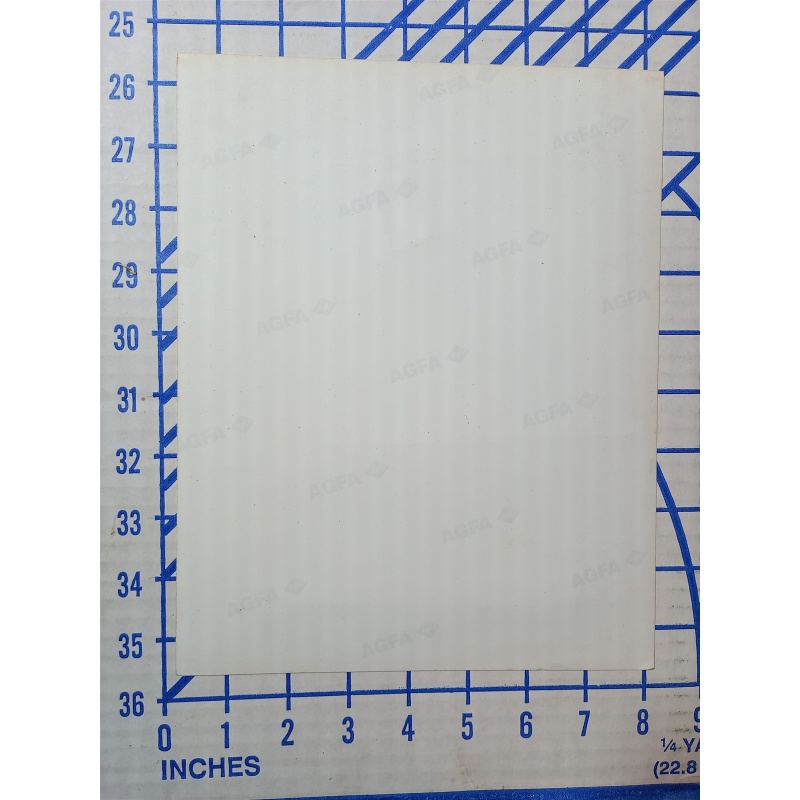 NY Giants-rodney Hampton Press Photo