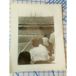 3 BLACK AND WHITE PHOTOS OF THE ORIOLES from the 1970S Or Early 80s 