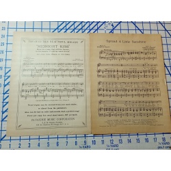 Spread A Little Sunshine Sheet Music Erwin Schmidt Robert Harty DeVaignie 1930