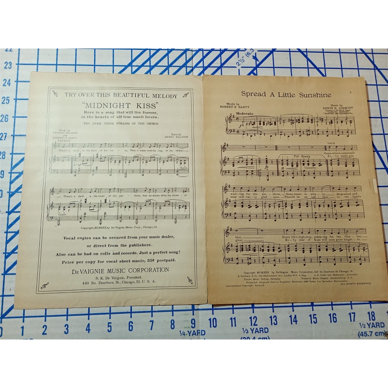 Spread A Little Sunshine Sheet Music Erwin Schmidt Robert Harty DeVaignie 1930