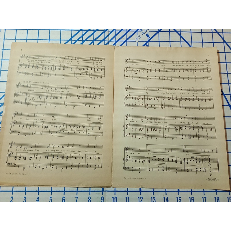 Spread A Little Sunshine Sheet Music Erwin Schmidt Robert Harty DeVaignie 1930