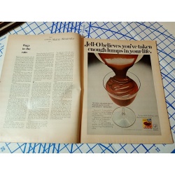 LIFE Magazine April 11, 1969 President Eisenhower Death