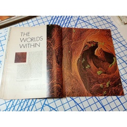 LIFE MAGAZINE. January 9, 1969. SPECIAL DOUBLE ISSUE: INTO THE 70S