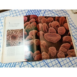 LIFE MAGAZINE. January 9, 1969. SPECIAL DOUBLE ISSUE: INTO THE 70S