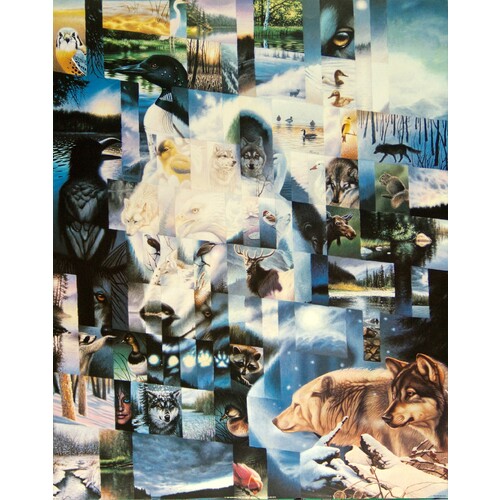 (22 x 28) Art Print DP0601 CRISPIN DE PASSE