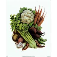 (8 x 10) Art Print FR0194 Wolfgang M. Otto Vegetables
