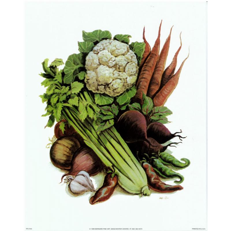 (8 x 10) Art Print FR0194 Wolfgang M. Otto Vegetables