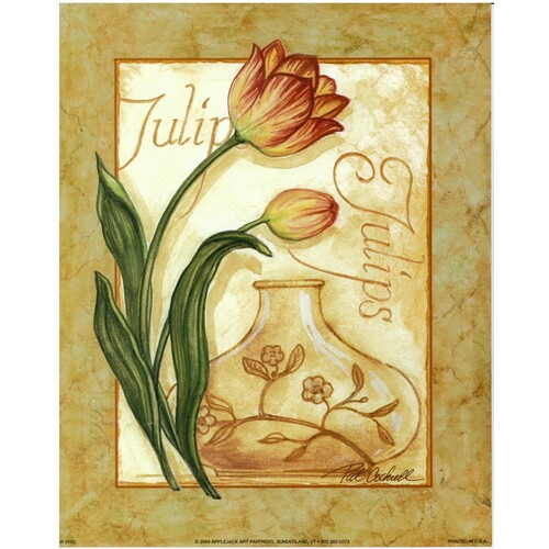 (8 x 10) Art Print KR0105 Pat Cockrell Lily-Flowered Tulip