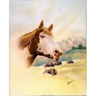 (16 x 20) Art Print SP0433 SPROVACH Horse & Buffalo