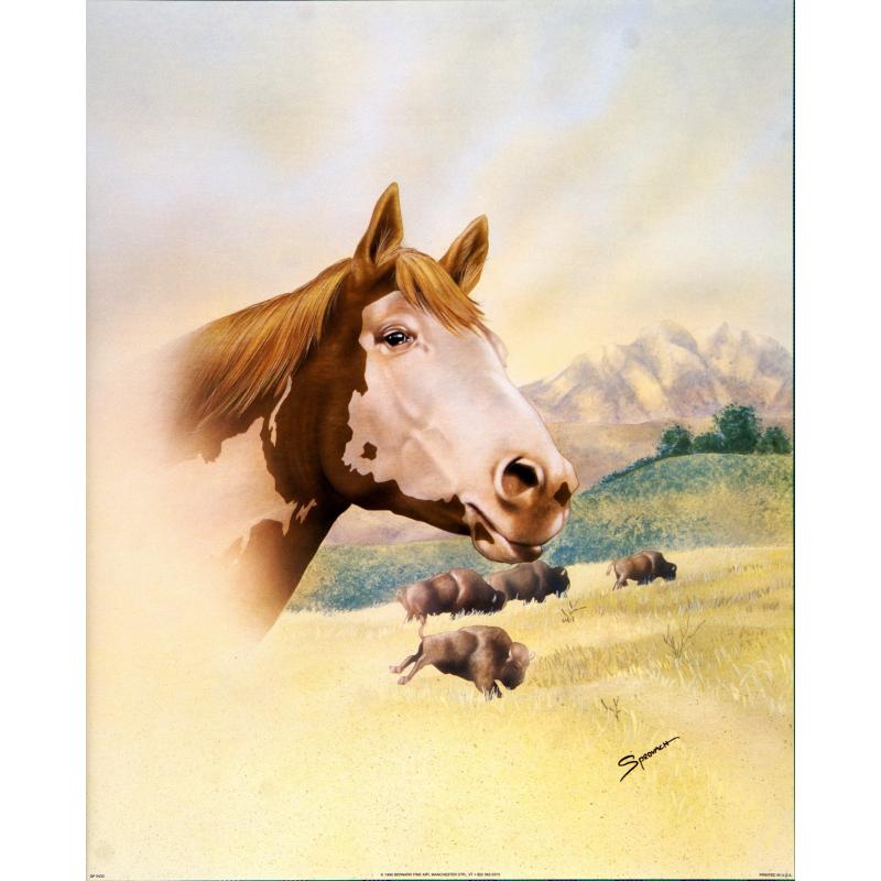 (16 x 20) Art Print SP0433 SPROVACH Horse & Buffalo