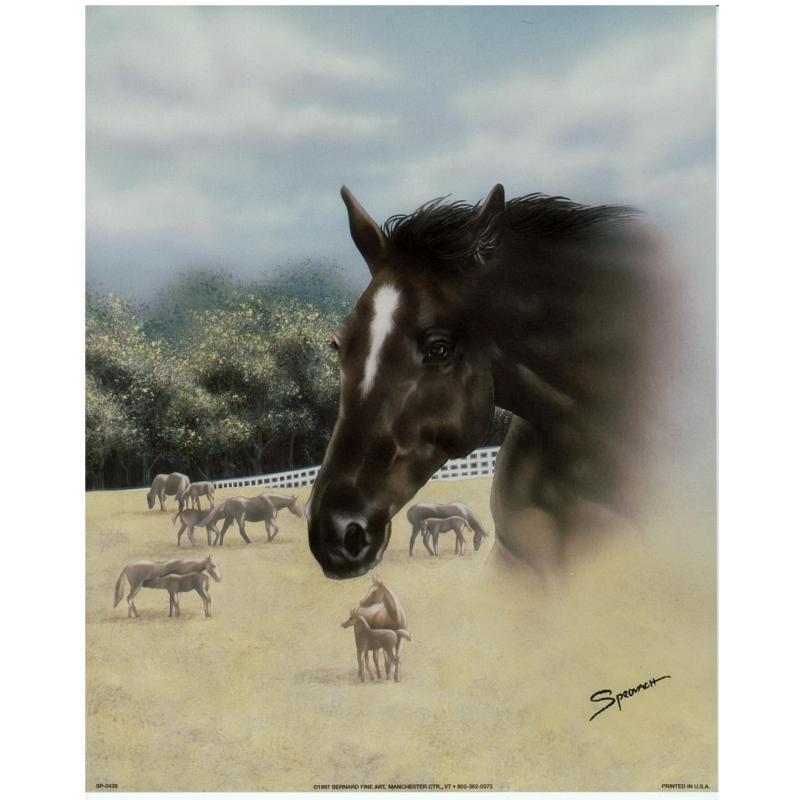 (8 x 10) Art Print SP0439 SPROVACH BLACK HORSE