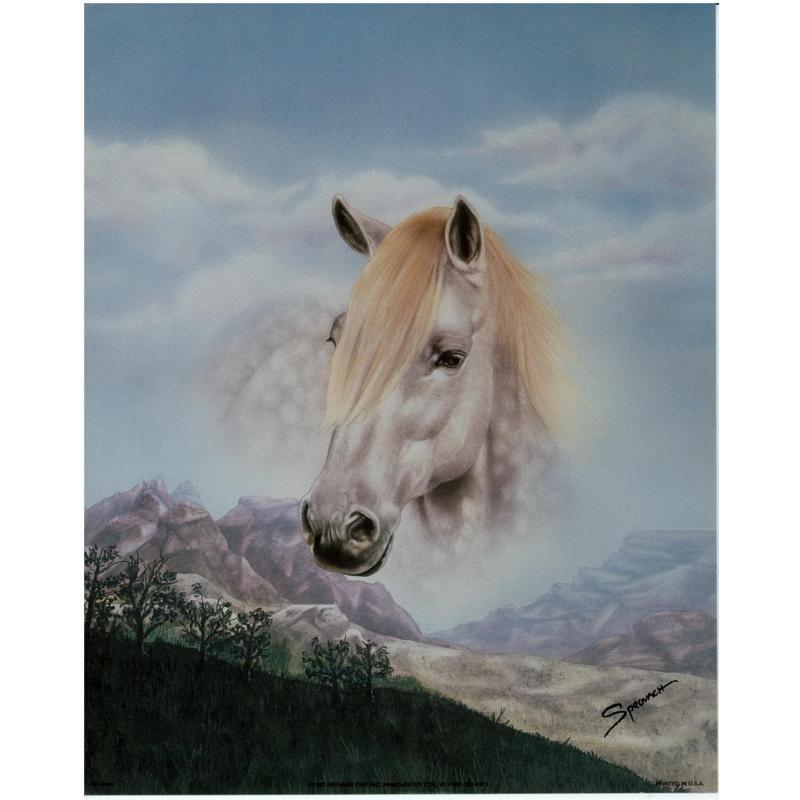 (8 x 10) Art Print SP0440 SPROVACH WHITE HORSE