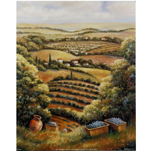 (8 x 10) Art Print ZA0126 JOHN ZACCHEO TUSCANY VISTA II
