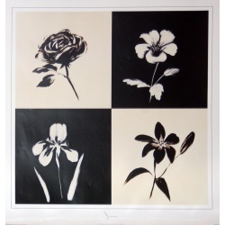 (25 x 25) Art Print YN0601 YUNA - Iris and Rose