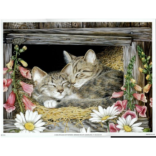 (9 x 12) Art Print MD1213 Jane Maday Kittens