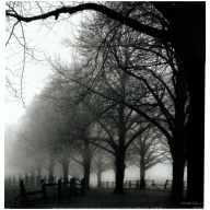 Lot of 2 (12 x 12) Art Print HS3011 Harold Silverman - Black and White Morning