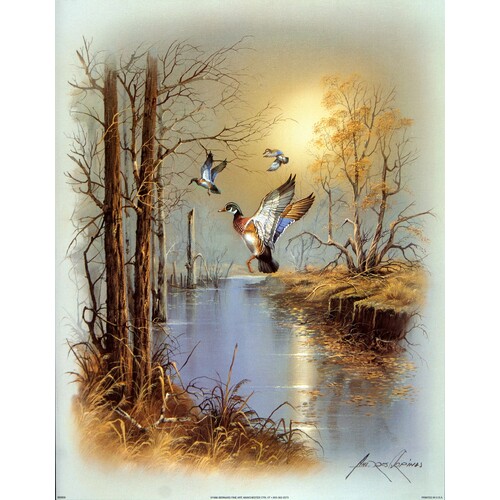 (11 x 14) Art Print BI0809 Andres Orpinas Ducks by the Stream