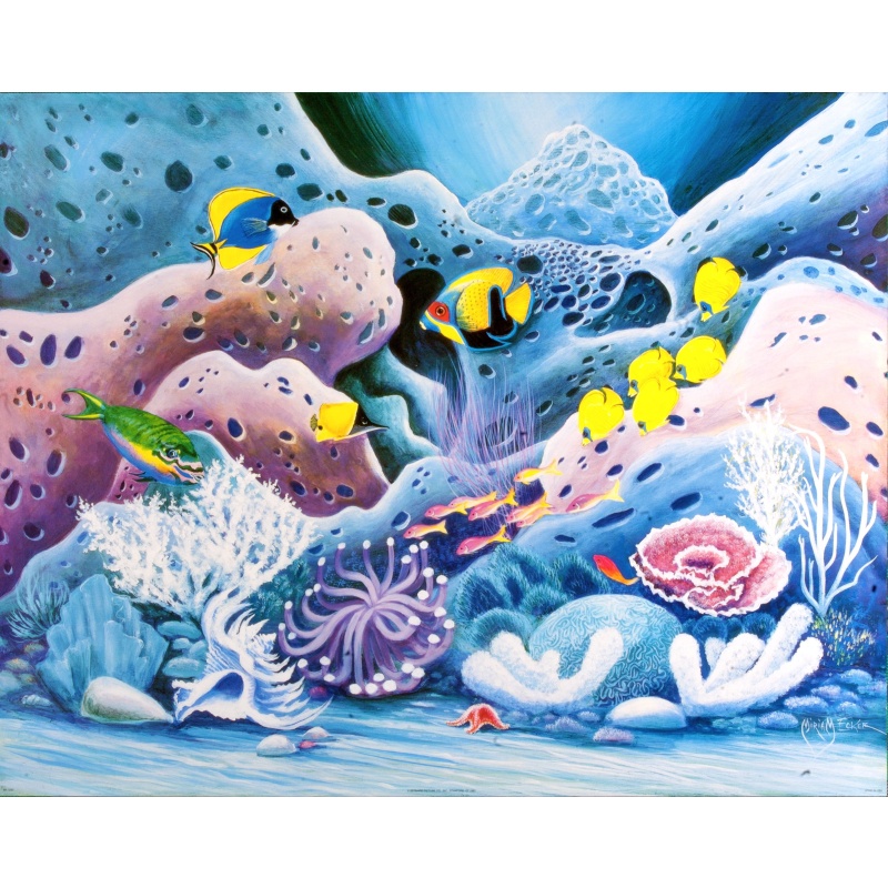 (22 x 28) Art Print AN1230 Miriam Ecker Tropical Fish