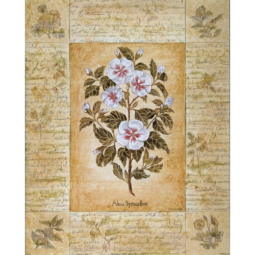 (16 x 20) Art Print GO0302 Gene Ouimette Botanical