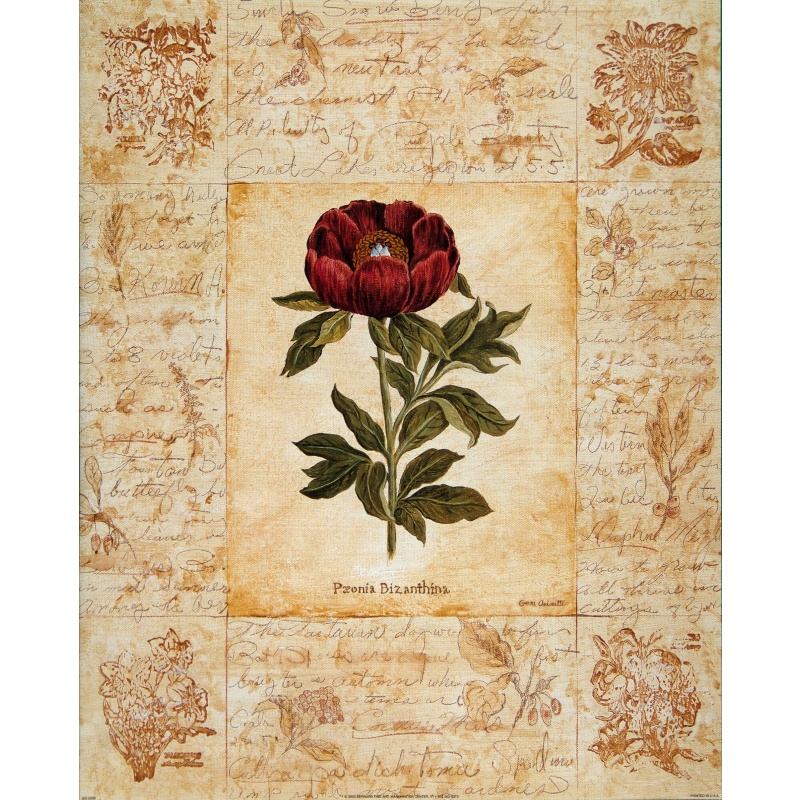 (16 x 20) Art Print GO0303 Gene Ouimette Botanical