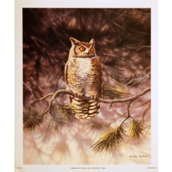 (9 x 11) Art Print AN1041 Bradley Jackson Winter Owl on a Branch